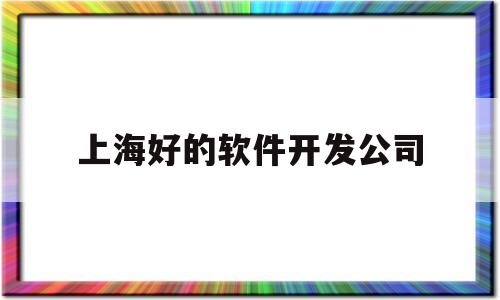 上海好的软件开发公司(上海做软件的公司)