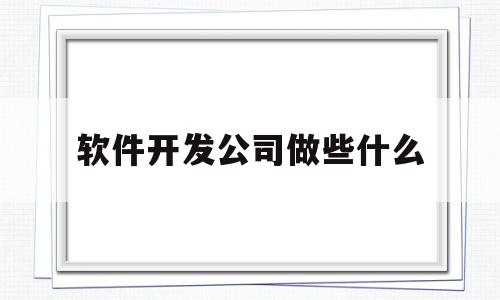 软件开发公司做些什么(软件开发公司做些什么业务)