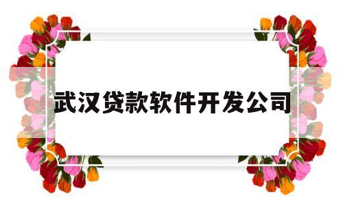 武汉贷款软件开发公司(武汉贷款公司招聘信息)