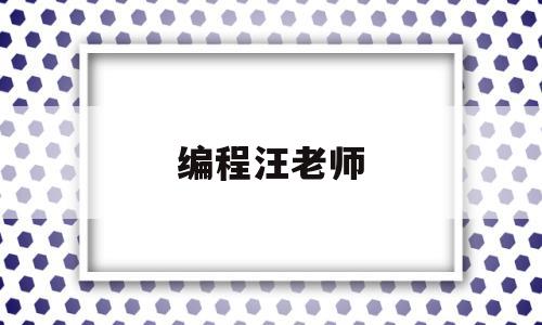 编程汪老师(编程启蒙老师)