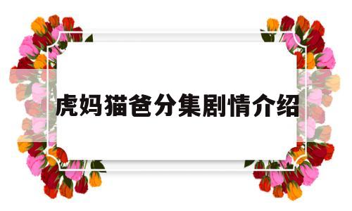 虎妈猫爸分集剧情介绍(虎妈猫爸分集剧情介绍大结局)
