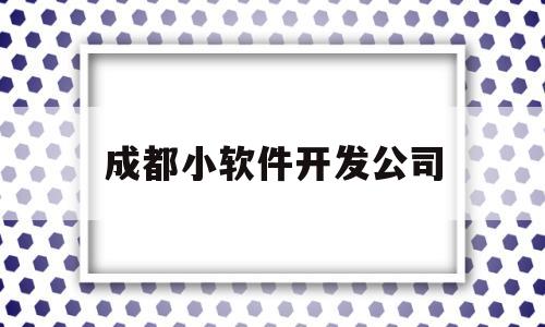 成都小软件开发公司(成都软件开发公司排名)