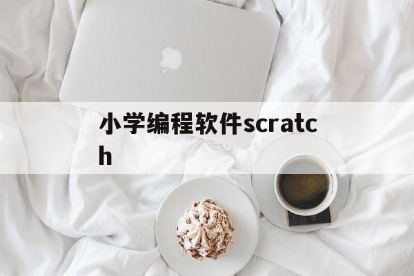小学编程软件scratch(小学编程软件scratch2)