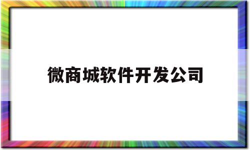 微商城软件开发公司(微商城开发软件排行)