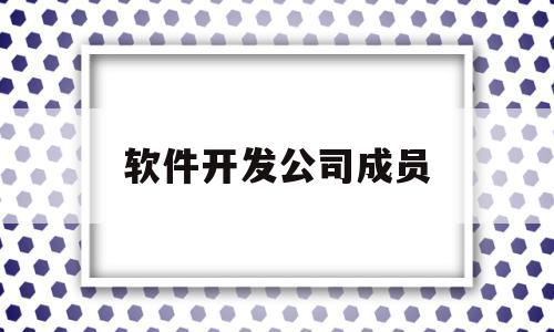 软件开发公司成员(软件开发公司组织结构图)