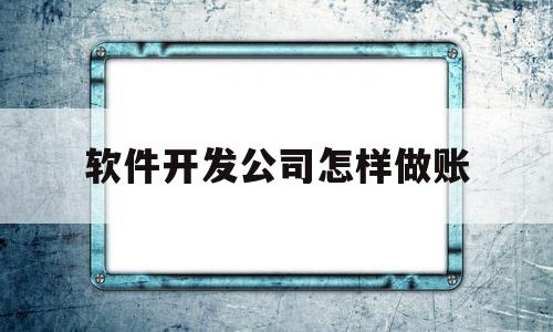 软件开发公司怎样做账(软件开发公司会计科目)