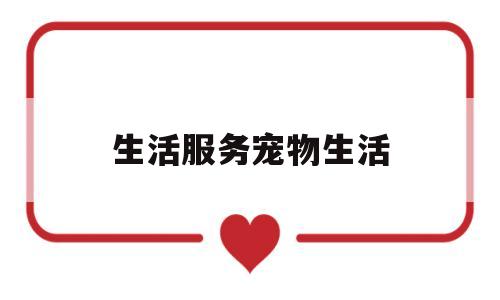 生活服务宠物生活(宠物生活的意思)