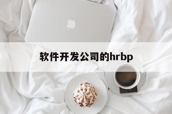 软件开发公司的hrbp(软件开发公司的经营范围有哪些)