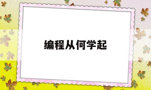 编程从何学起(编程怎么开始学)