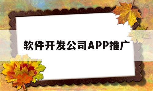 软件开发公司APP推广(做软件推广)