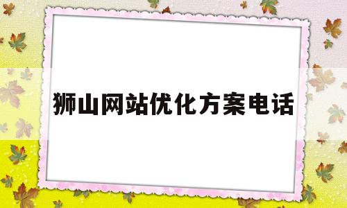 狮山网站优化方案电话(狮山交易平台)