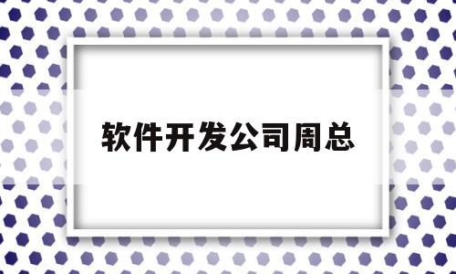 软件开发公司周总(软件公司开发部)