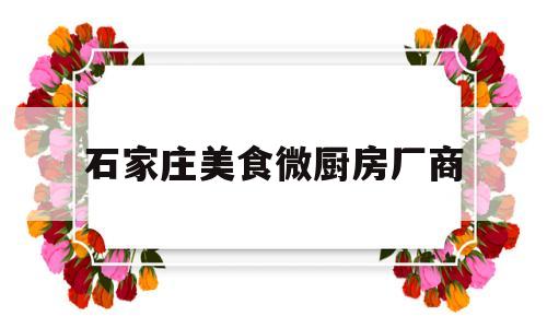 石家庄美食微厨房厂商(石家庄美食城)