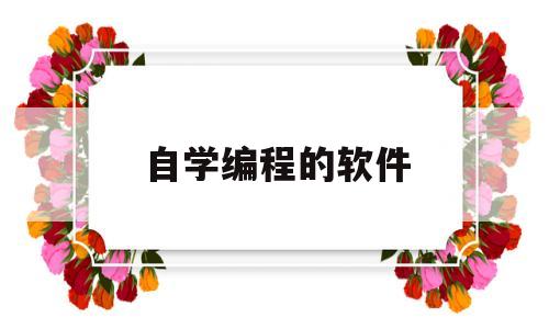 自学编程的软件(自学编程软件有哪些)