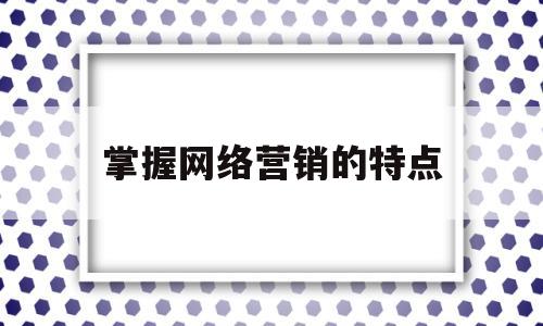 掌握网络营销的特点(掌握网络营销的策略)
