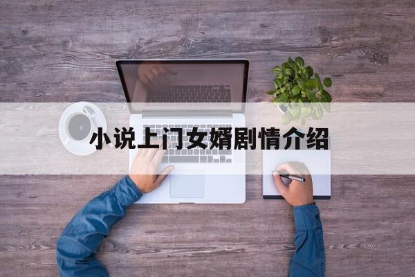 小说上门女婿剧情介绍(小说上门女婿剧情介绍全文)