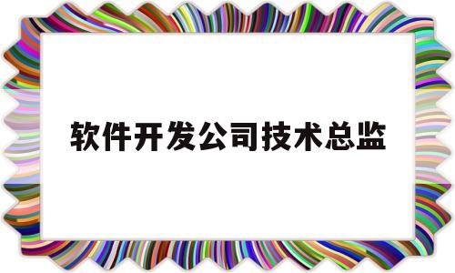软件开发公司技术总监(软件开发技术总监岗位职责)