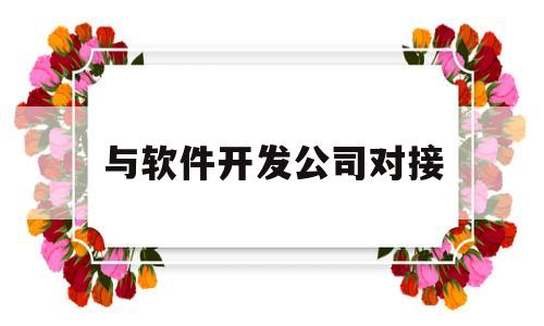 与软件开发公司对接(怎样与软件开发公司合作)