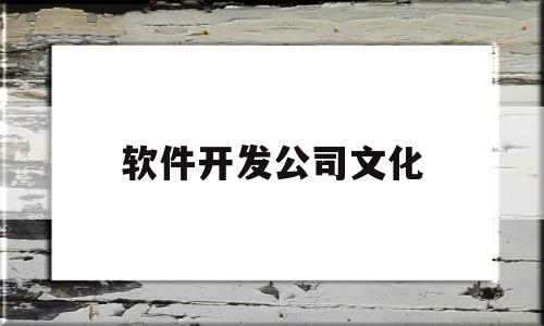 软件开发公司文化(软件开发公司业务有哪些)