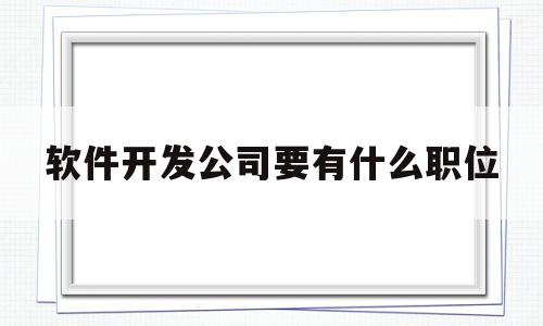 软件开发公司要有什么职位(软件开发公司好吗)