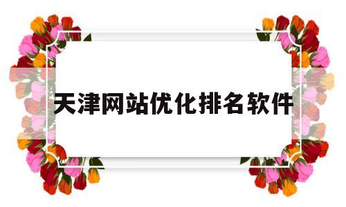 天津网站优化排名软件(天津网络优化推广公司)