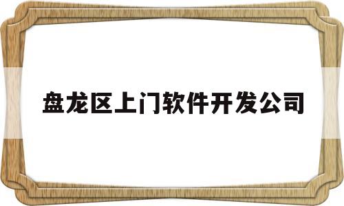 盘龙区上门软件开发公司(盘龙区上门软件开发公司有哪些)