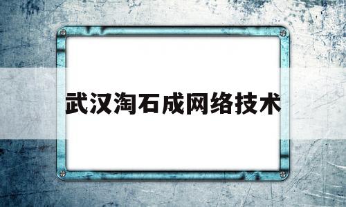 武汉淘石成网络技术(武汉淘健康科技有限公司)