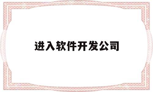 进入软件开发公司(软件开发公司做什么)