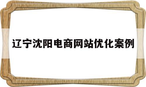辽宁沈阳电商网站优化案例(电子商务网站优化)