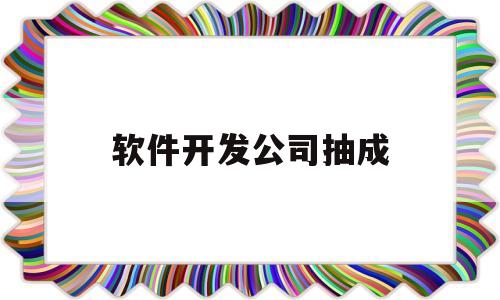 软件开发公司抽成(软件开发公司需要多少钱)