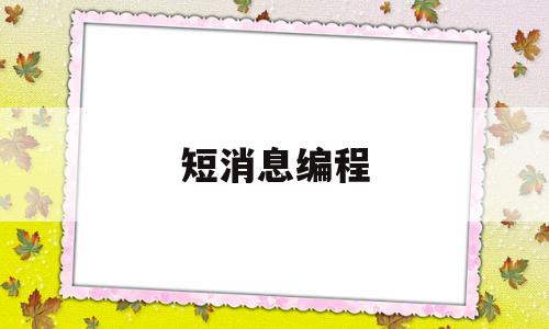 短消息编程(短消息流程)
