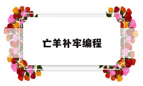 亡羊补牢编程(亡羊补牢课程讲解)