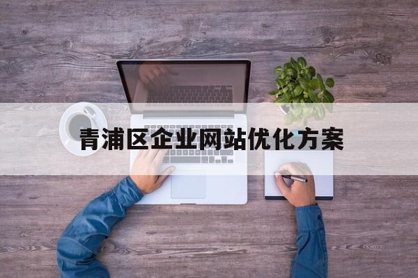 青浦区企业网站优化方案(上海企业网站推广)