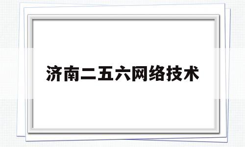 济南二五六网络技术(山东二五六互联网公司副总裁)