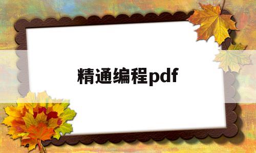 精通编程pdf(精通编程语言)
