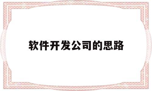 软件开发公司的思路(软件开发公司的思路和建议)