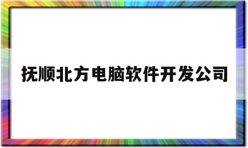 抚顺北方电脑软件开发公司(抚顺有几个电脑城)