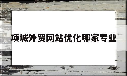 项城外贸网站优化哪家专业(项城seo公司)