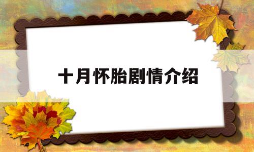 十月怀胎剧情介绍(十月怀胎剧情介绍大结局)
