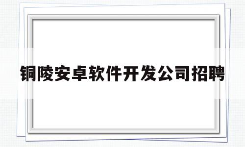 铜陵安卓软件开发公司招聘(安卓软件开发招聘信息)