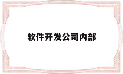 软件开发公司内部(软件开发公司内部环境分析)