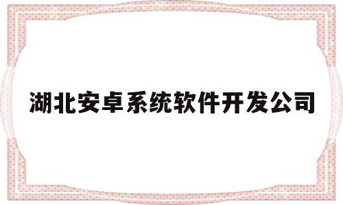 湖北安卓系统软件开发公司(湖北定制软件开发平台)