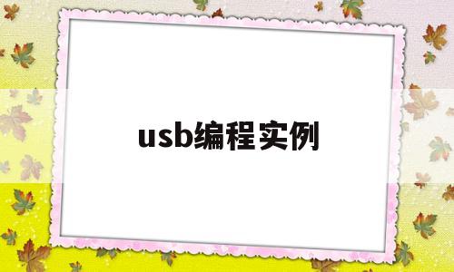 usb编程实例(usb编程器使用教程)