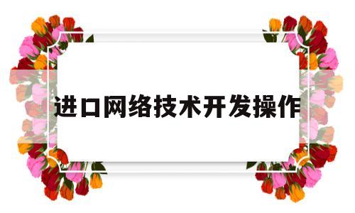 进口网络技术开发操作(网络进出口)