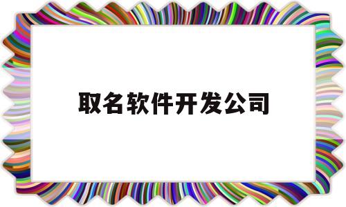 取名软件开发公司(软件类公司起名)