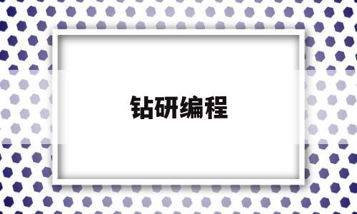 钻研编程(专业编程)