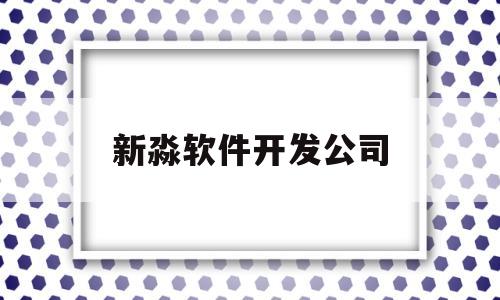 新淼软件开发公司(软件开发公司)