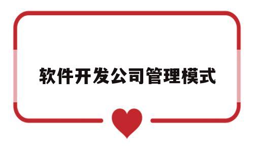 软件开发公司管理模式(软件开发公司管理制度)