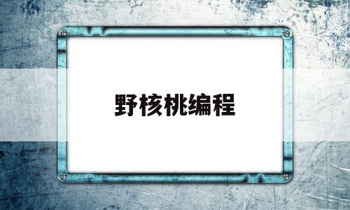 野核桃编程(核桃编程l5)