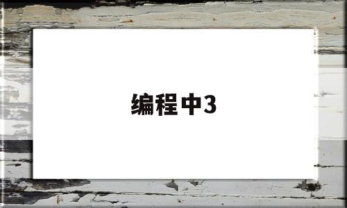 编程中3(编程中356是什么数据类型)